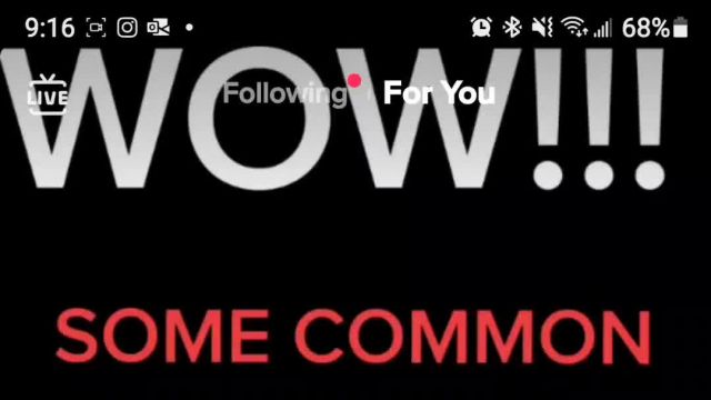 DERSHOWITZ FIRST AMMENDMENT